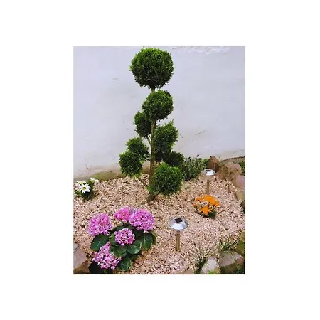 Апартаменты Cosy Proche Centre *