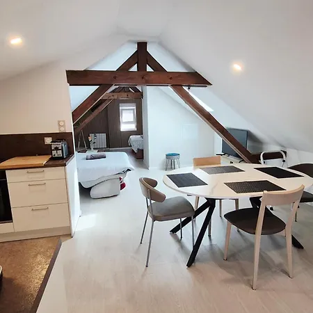 Cosy Proche Centre Colmar