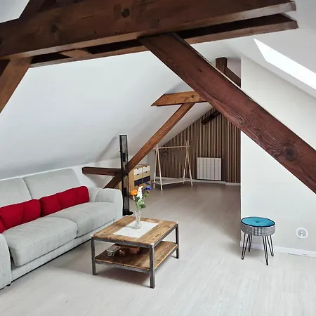 Appartement Cosy Proche Centre Colmar